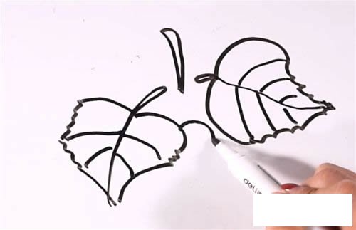 葡萄简笔画的画法步骤图