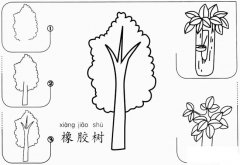 简笔画橡胶树怎么画