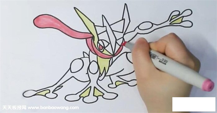 甲贺忍蛙简笔画
