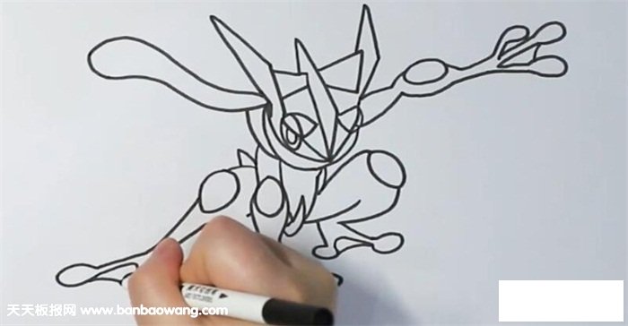 甲贺忍蛙简笔画