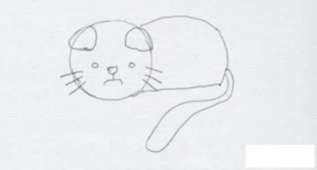 可爱的猫咪简笔画步骤图