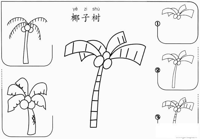 【椰子树怎么画】简笔画椰子树怎么画步骤图教程