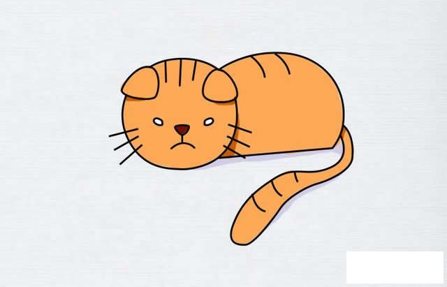 可爱的猫咪简笔画步骤图