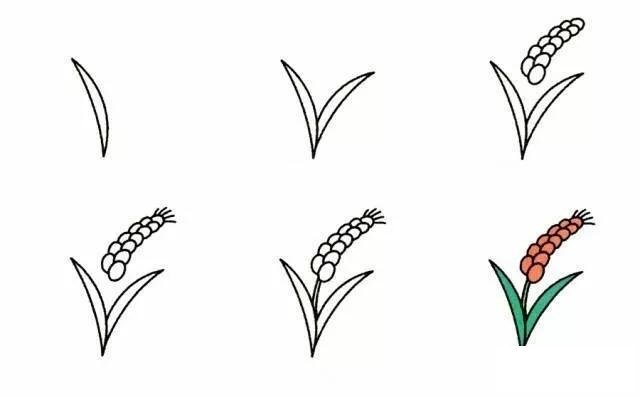 麦穗简笔画