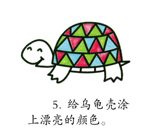 彩色乌龟简笔画图片