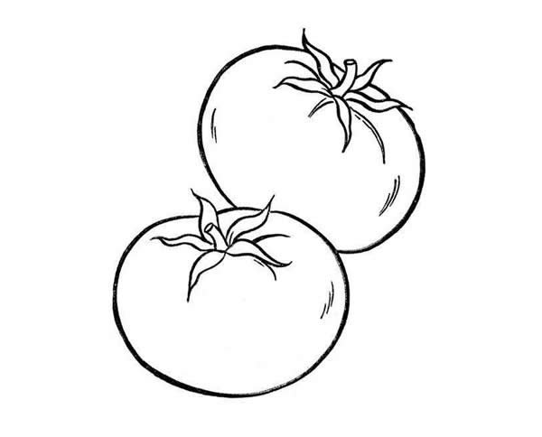 西红柿简笔画图片