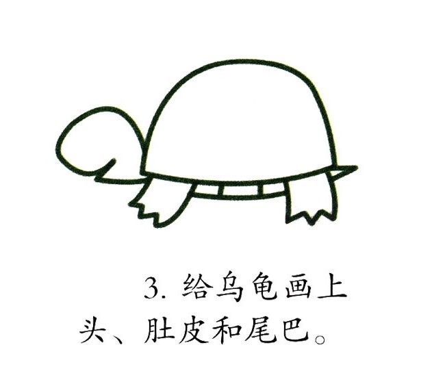 彩色乌龟简笔画图片