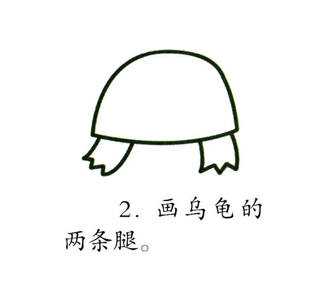 彩色乌龟简笔画图片