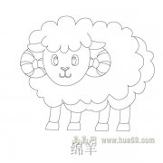 儿童简笔画：可爱的绵羊
