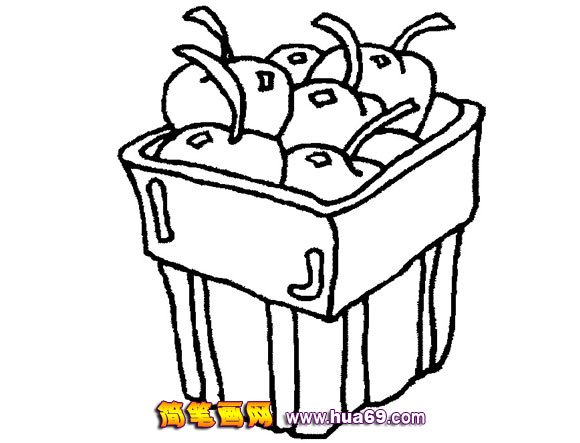 水果简笔画：苹果14