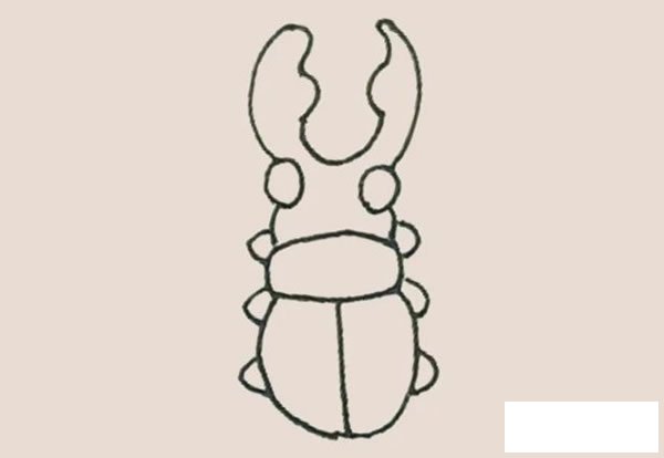 甲壳虫简笔画