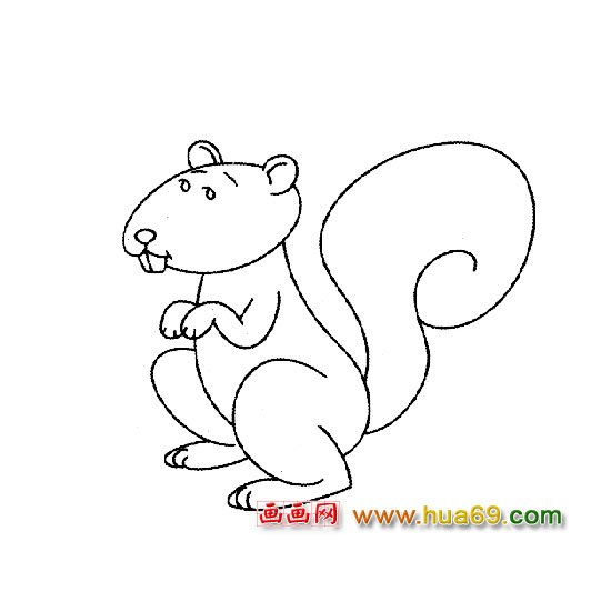 松鼠│动物简笔画1