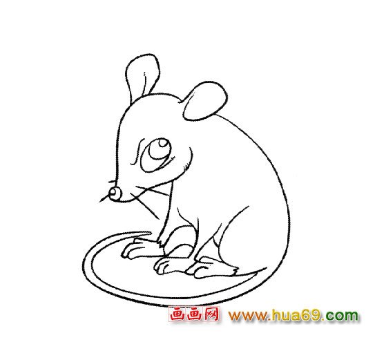 简笔画（凶恶的老鼠）1