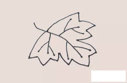 葡萄简笔画