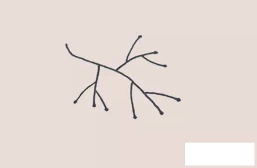 葡萄简笔画
