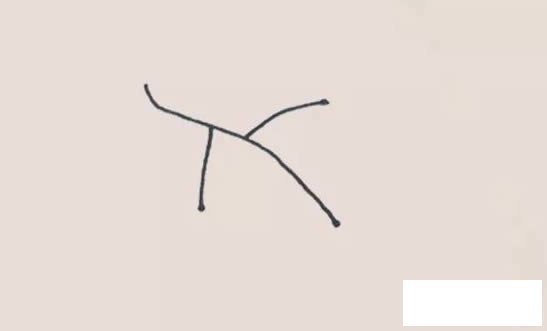 葡萄简笔画
