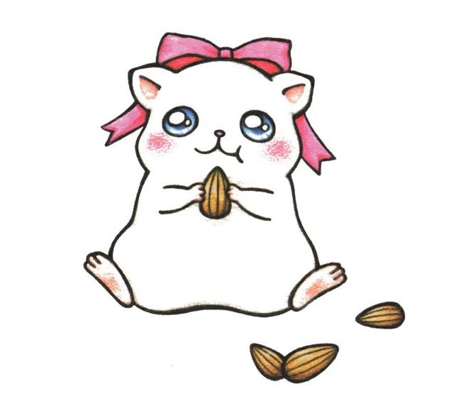 仓鼠的简笔画图片