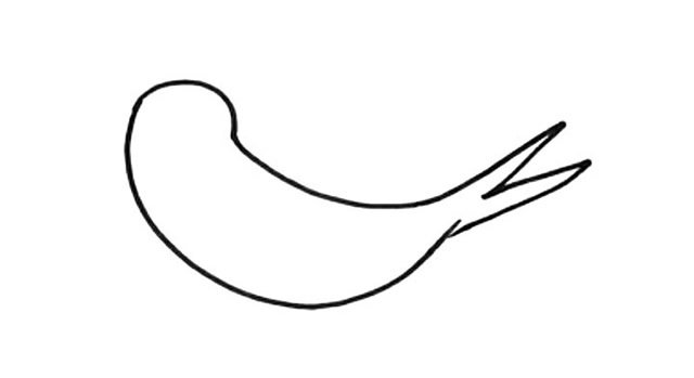 小燕子简笔画