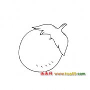 蔬菜简笔画：圆圆的茄子3