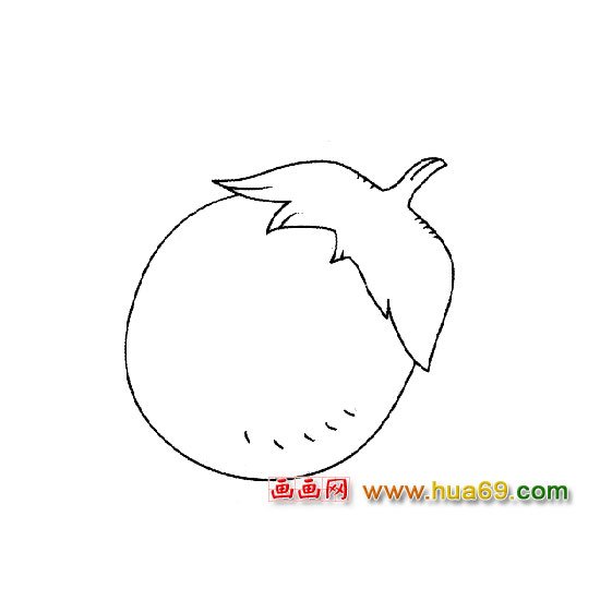 蔬菜简笔画：圆圆的茄子3