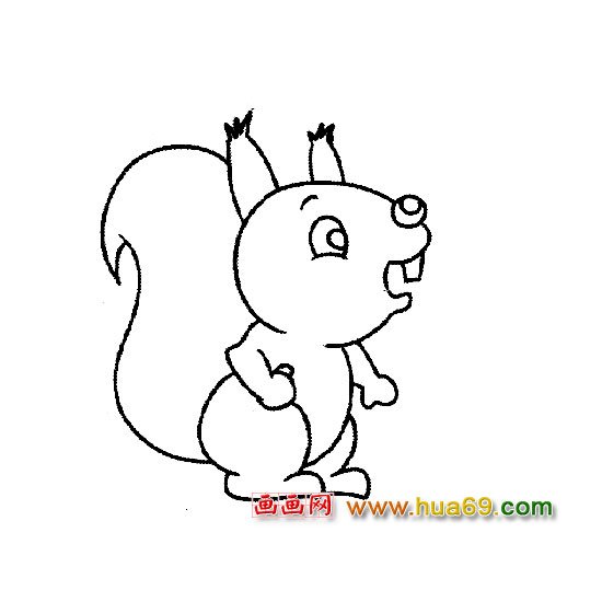 松鼠│动物简笔画4