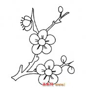 花卉简笔画：美丽的梅花