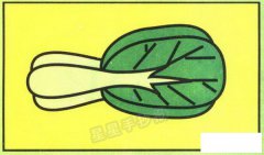 青菜简笔画图片教程