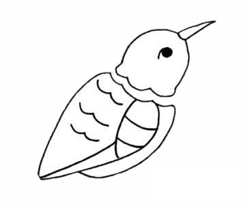 蜂鸟简笔画图片