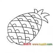 简笔画：诱人的菠萝3