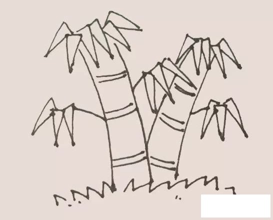 竹子简笔画