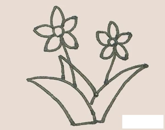 水仙花简笔画图片