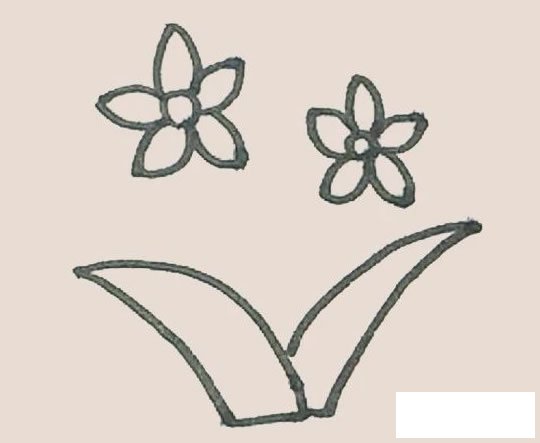 水仙花简笔画图片