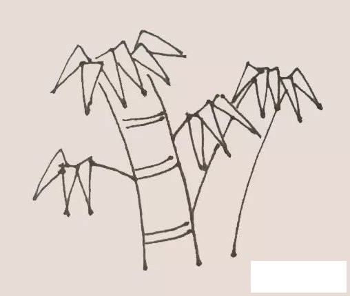 竹子简笔画