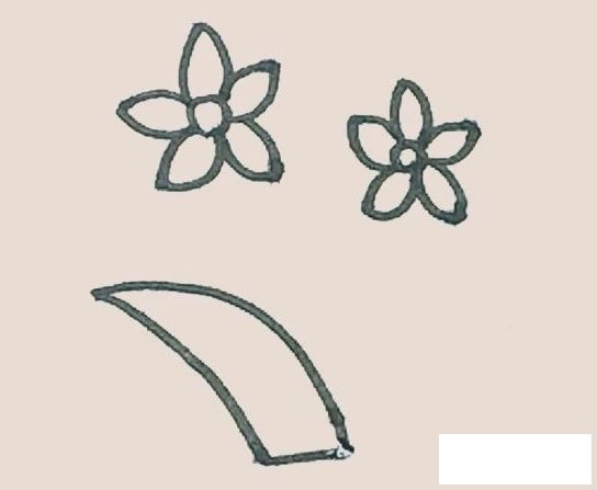 水仙花简笔画图片