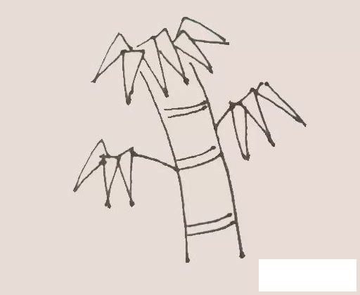 竹子简笔画