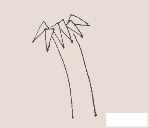 竹子简笔画