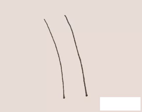 竹子简笔画