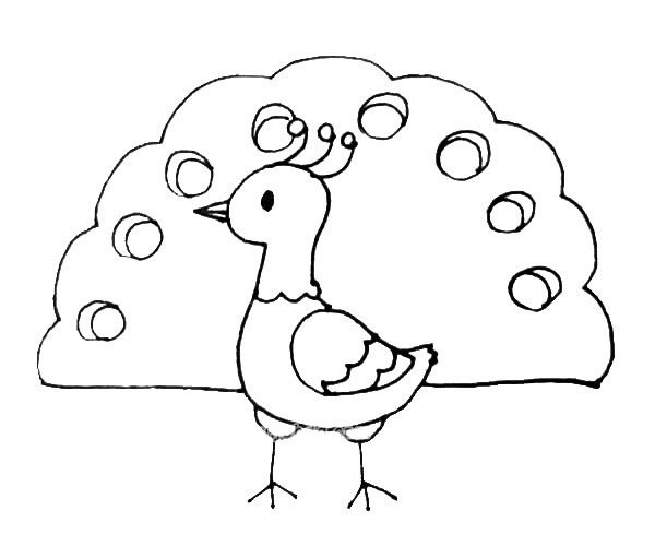 孔雀简笔画