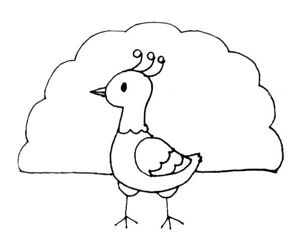 孔雀简笔画