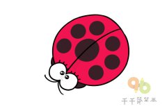七星瓢虫简笔画图片大全