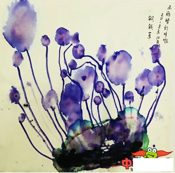 6岁幼儿创意美术作品，铜钱草的秘密
