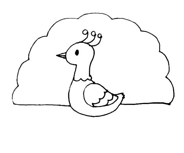 孔雀简笔画