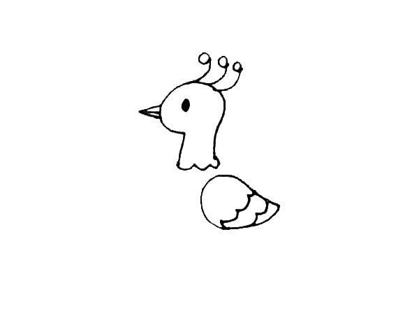孔雀简笔画
