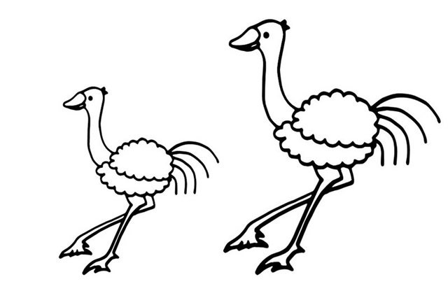 鸵鸟简笔画图片