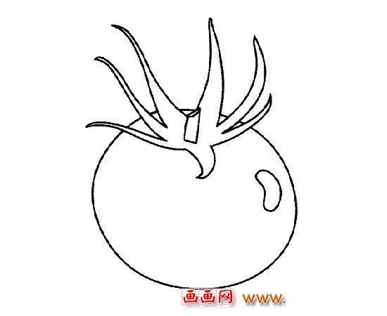 简笔画│好吃的西红柿5
