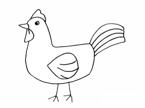 公鸡简笔画图片