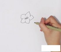 桃花简笔画彩色画法步骤图解教程