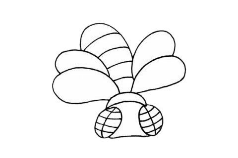 苍蝇简笔画