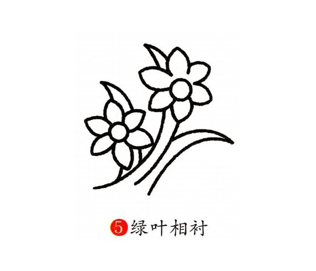 兰花简笔画彩色图片