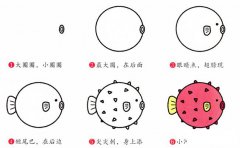 河豚动物简笔画步骤图片大全